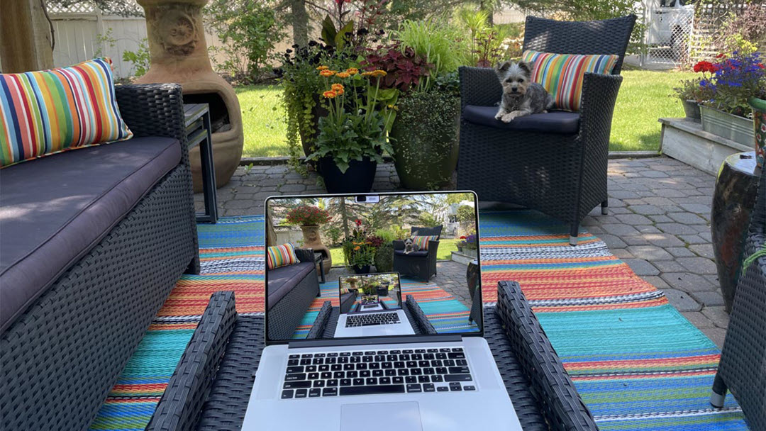 Summer 2025 Newsletter – Quinquennial Edition